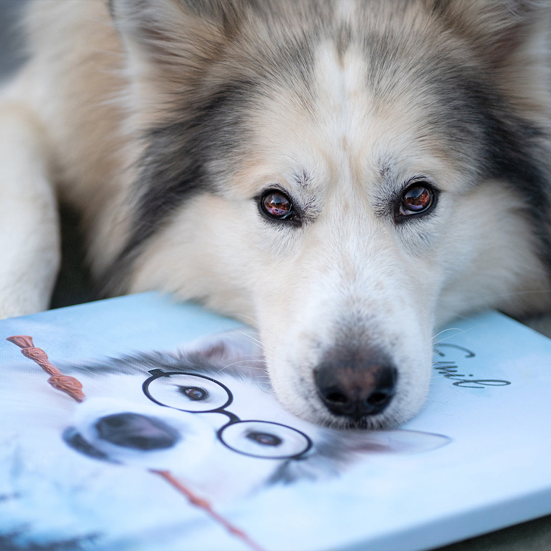 Natuur Pawtrait